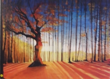 40-couleur-d-automne-70x50