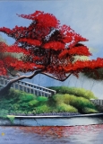 80-arbre-flanboyant-80x40