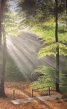 8B-Ombre-et-lumiere-61-38-